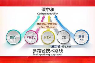 伊布：格雷泽家族花了大把钱为曼联引援，说他们没在做事是不对的